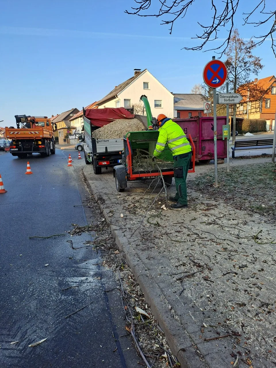 Vorschaubild für Baumpflege